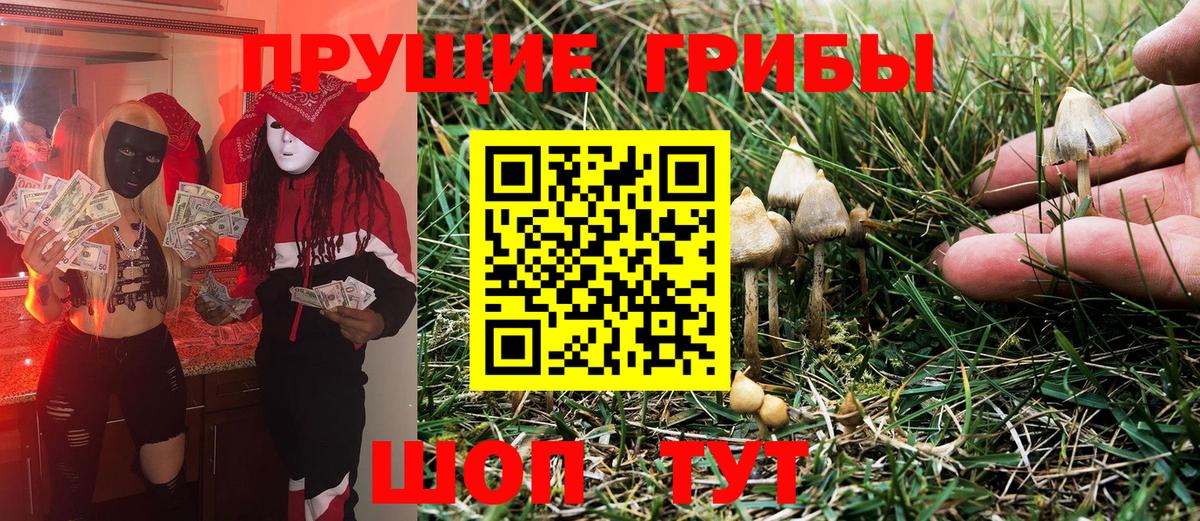 Краснотурьинск  Галлюциногенные грибы Magic Shrooms  Вход с VPN 